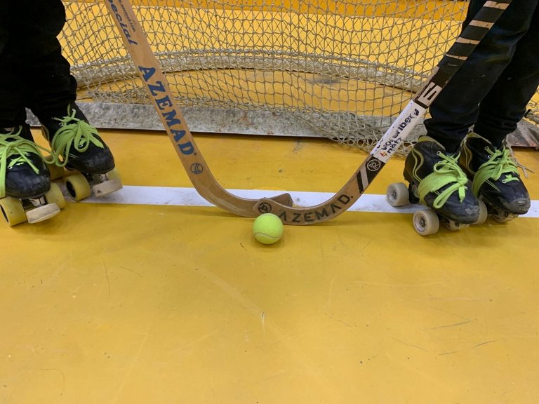 Foto_A_Rollhockey.jpg 
